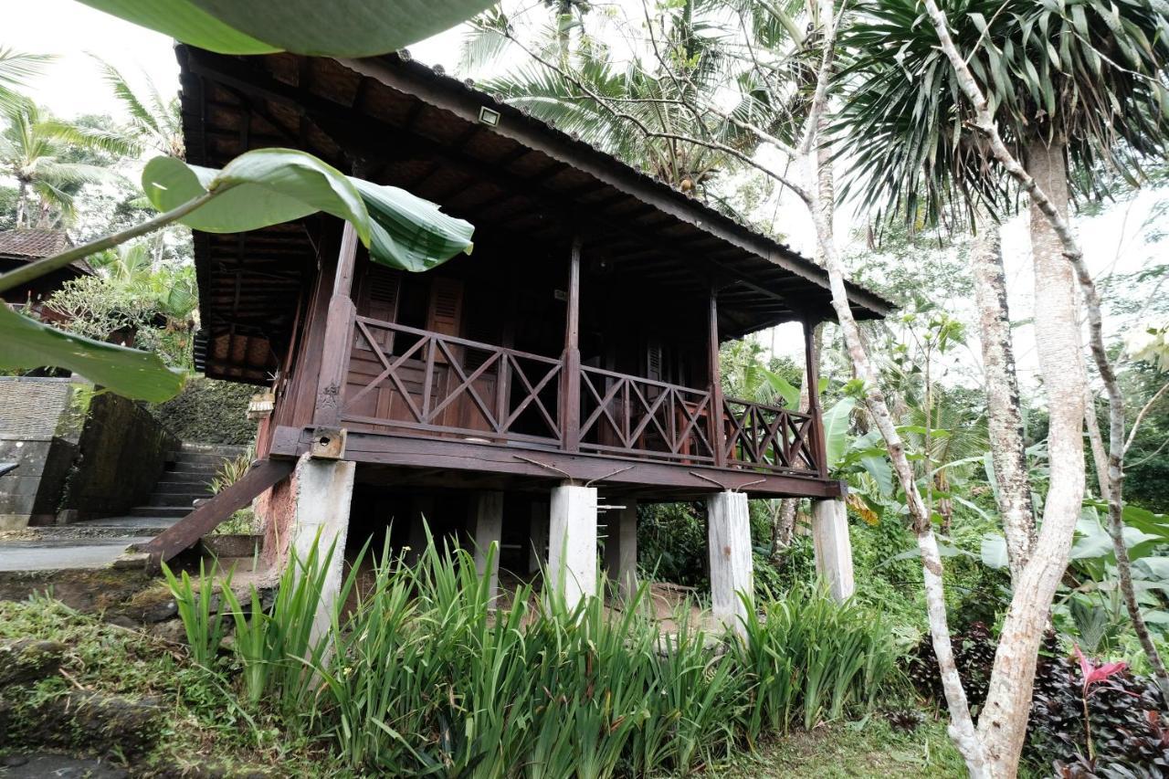 Gasthof Jungle Holy Water 3*