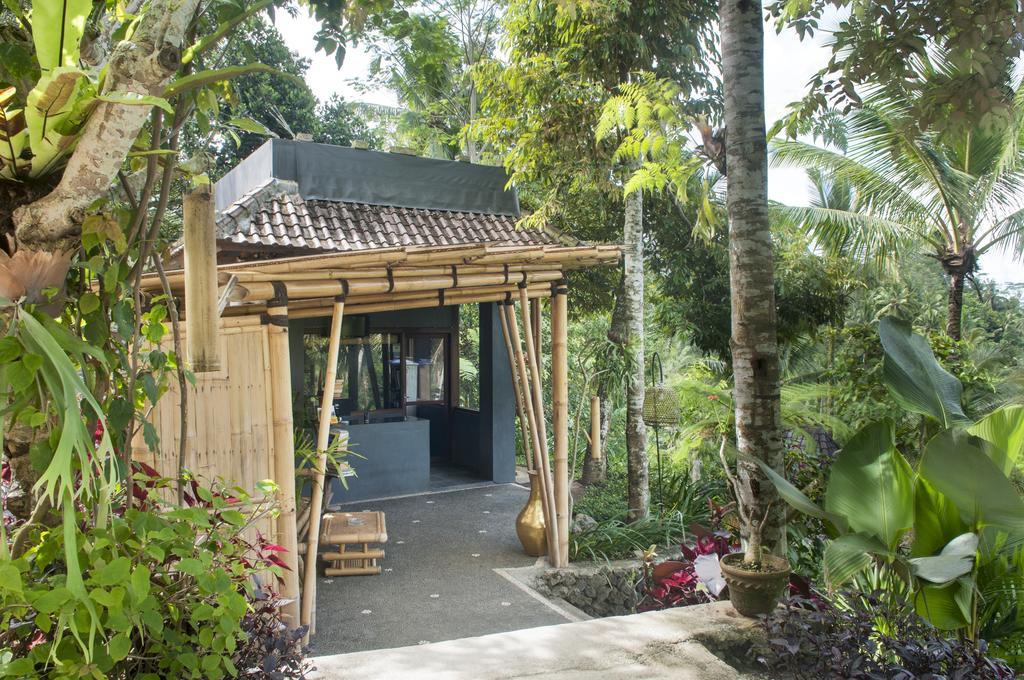 Jungle Holy Water Ubud