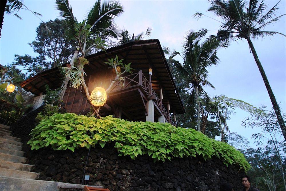 Jungle Holy Water 3* Ubud