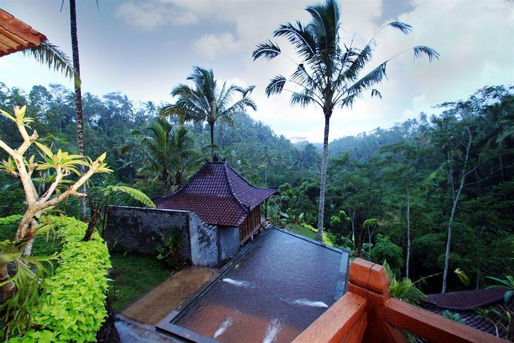 Gasthof Jungle Holy Water Ubud