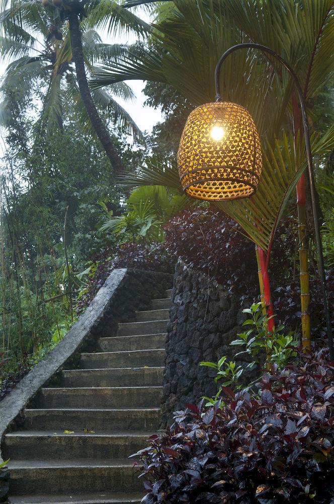 Jungle Holy Water Ubud