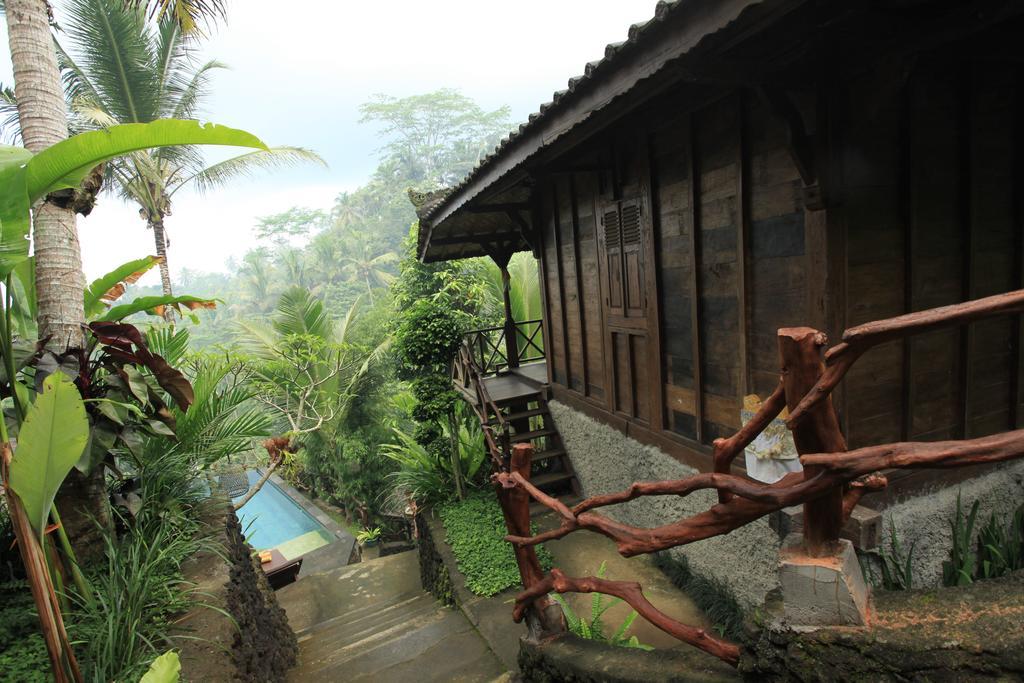 Gasthof Jungle Holy Water 3*