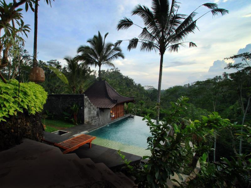 Jungle Holy Water 3*