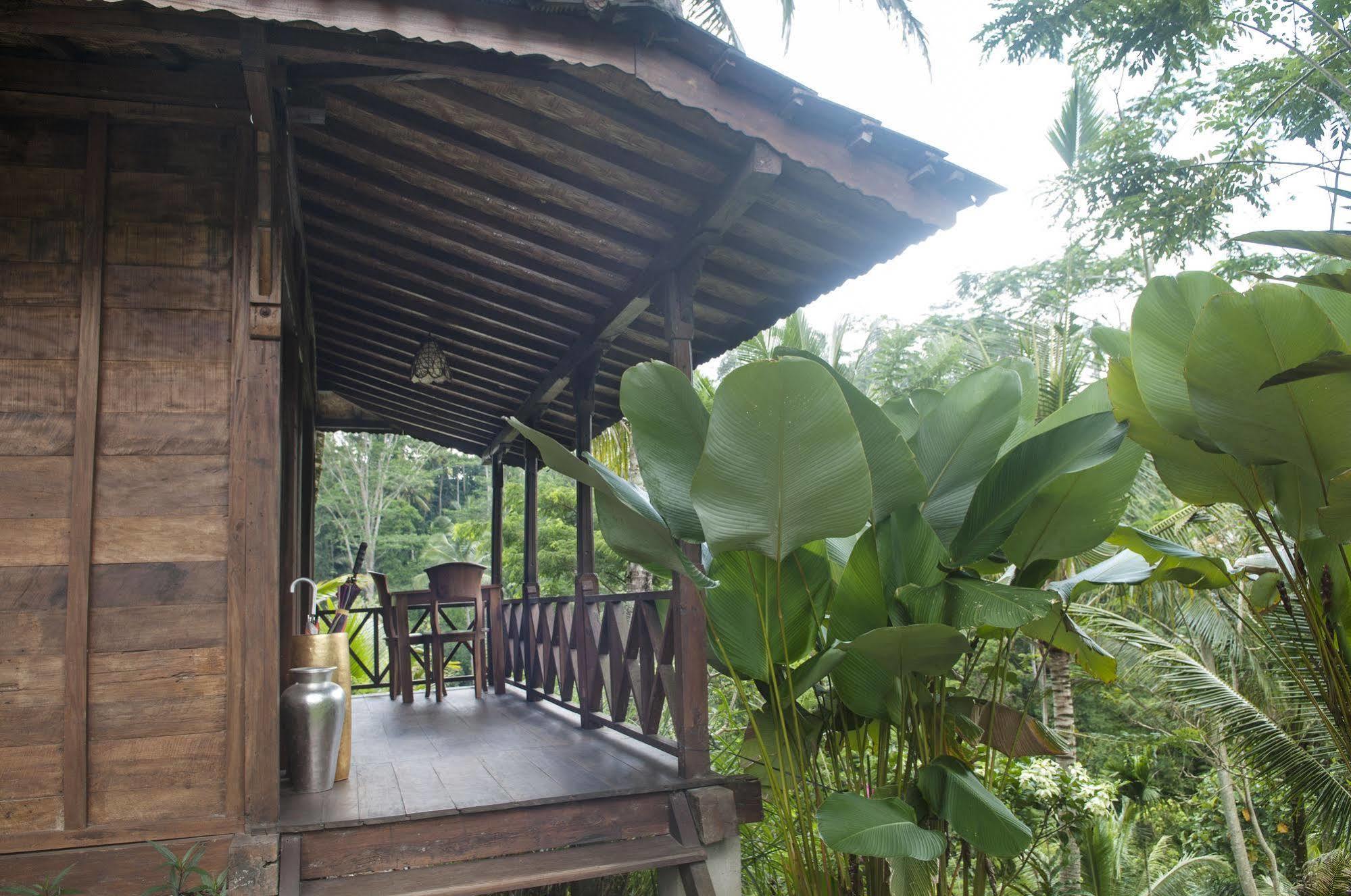 Jungle Holy Water Gasthof Ubud