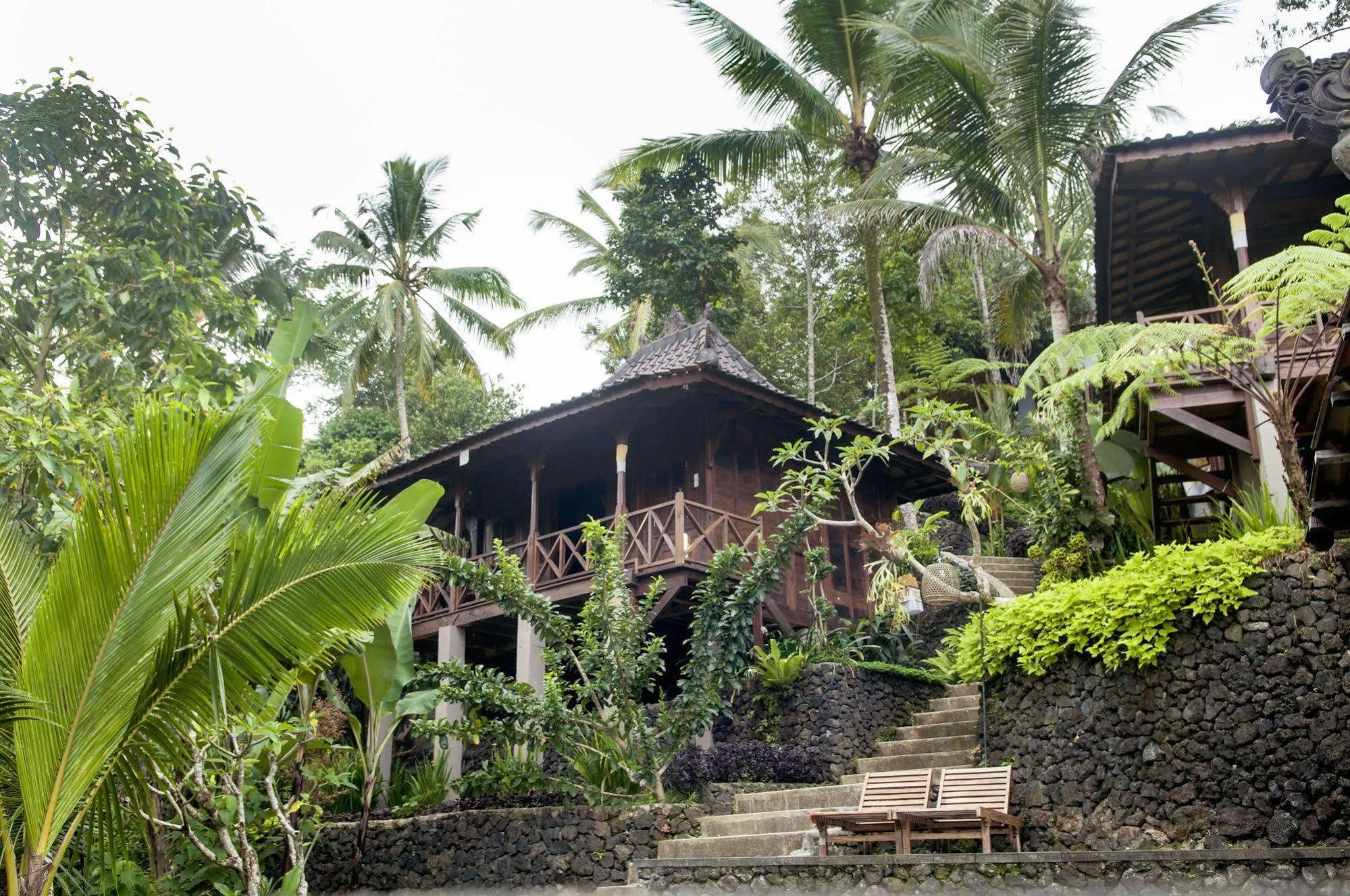 Jungle Holy Water Gasthof Ubud