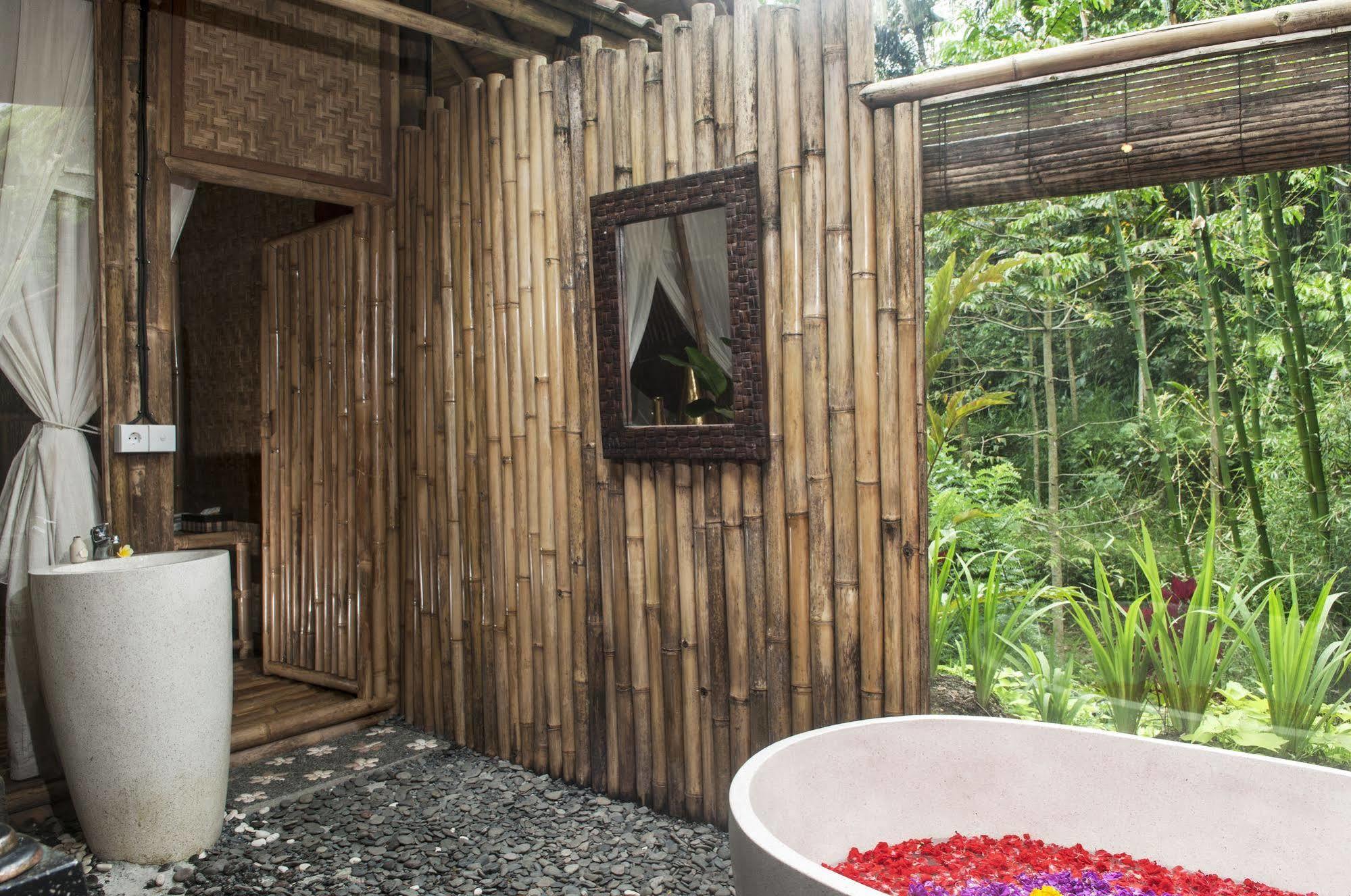 Jungle Holy Water Gasthof