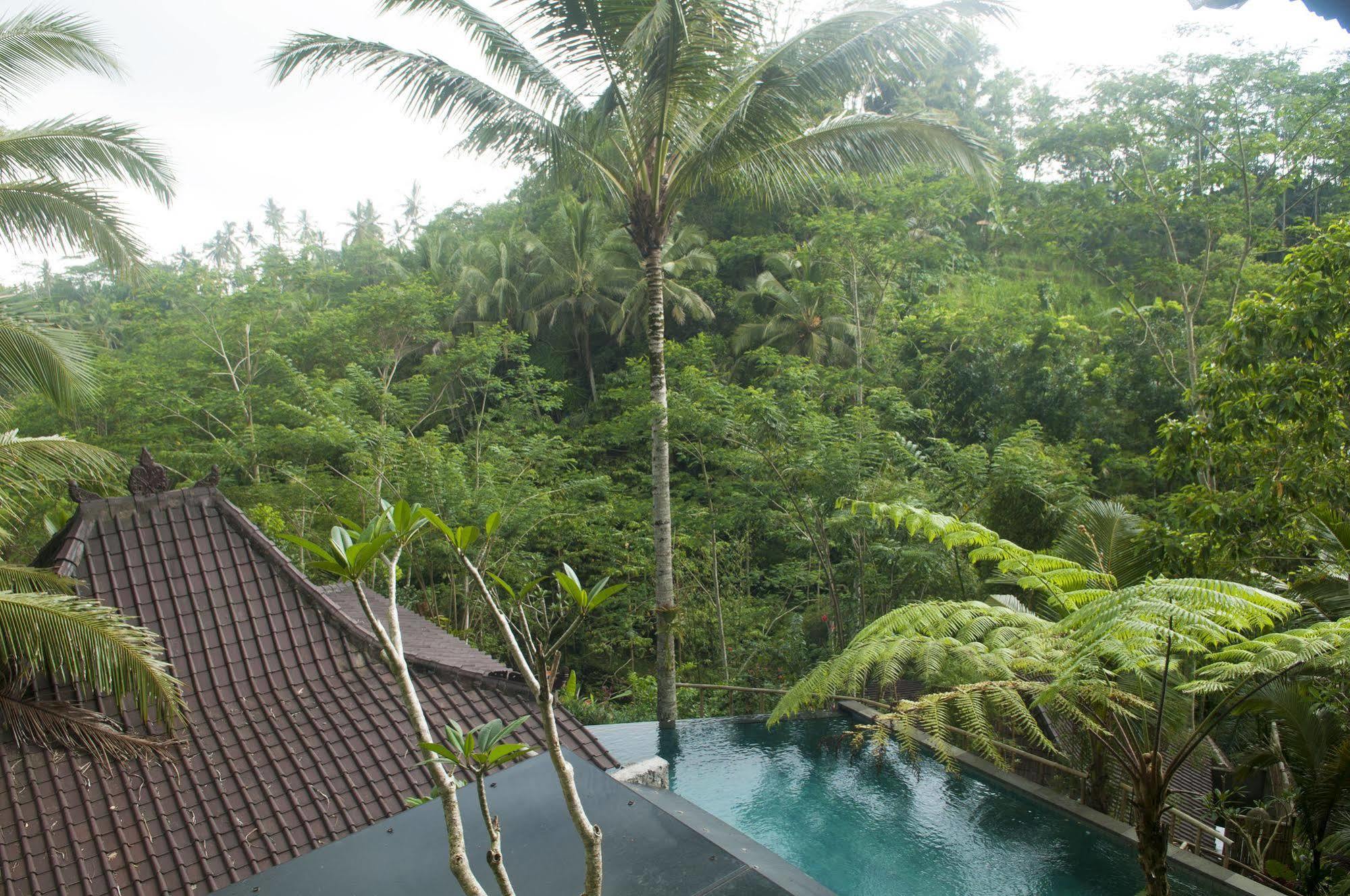 Jungle Holy Water Gasthof 3*