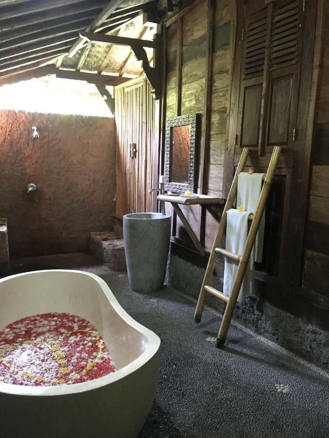 Gasthof Jungle Holy Water