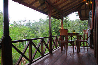 Gasthof Jungle Holy Water